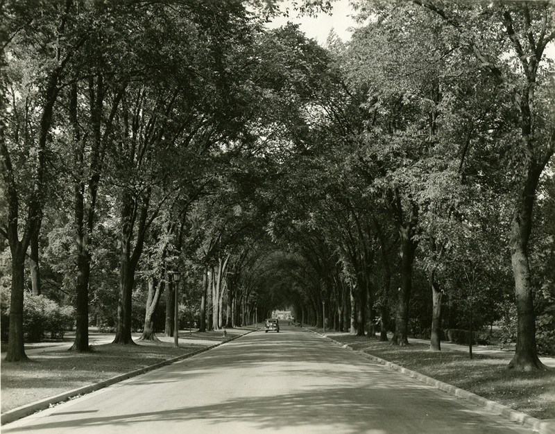 Elmhurst Historical Museum Shares Elmhurst’s Story in an Innovative New Exhibit