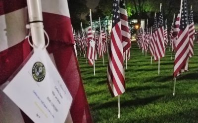 True Patriots Care Stages 400 U.S. Flags of Honor in Wilder Park