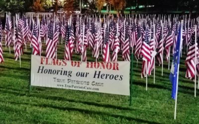 True Patriots Care Displays American Flags in Wilder Park