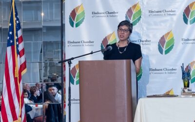 Elmhurst University’s Chen Given ECCI Chairman’s Award
