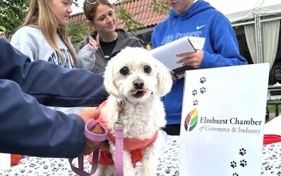 32nd Annual Spring Road Pet Parade Photo Page