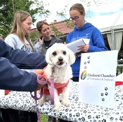 32nd Annual Spring Road Pet Parade Photo Page